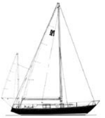 Morgan 41