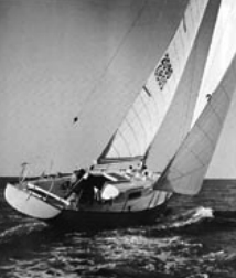 Morgan 41