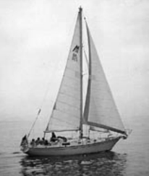 Morgan 38
