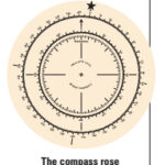 The compass rose