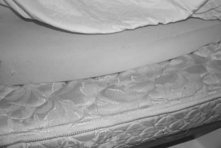 A mattress for a full-time liveaboard boat has to be comfortable and dry. Bill’s solution is to use a commercial custom-fit latex mattress under 2 inches of memory foam. Everything is covered with an inexpensive waterproof, quilted mattress pad. Sheets and bedding go above this.