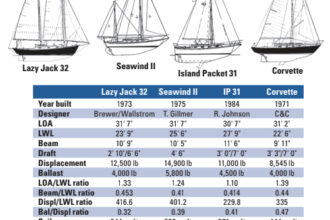 Lazy Jack 32 statistics