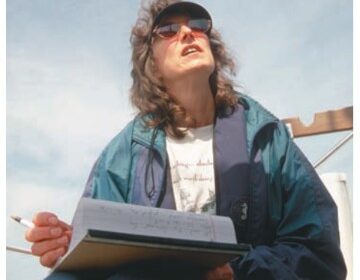 Karen Larson