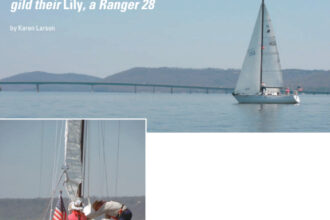 Pictures of the Gilded Lily