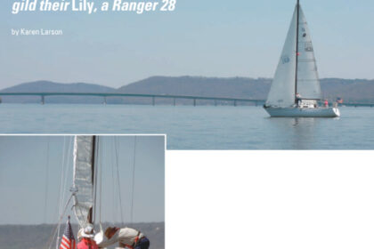 Pictures of the Gilded Lily