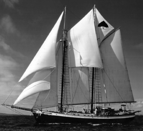 The 70-foot schooner, Tree of Life, has a comfortable Comfort Ratio of 64.7. To prevent odd outcomes and heated discussions, this formula should only be used to compare boats that are similar in size.
