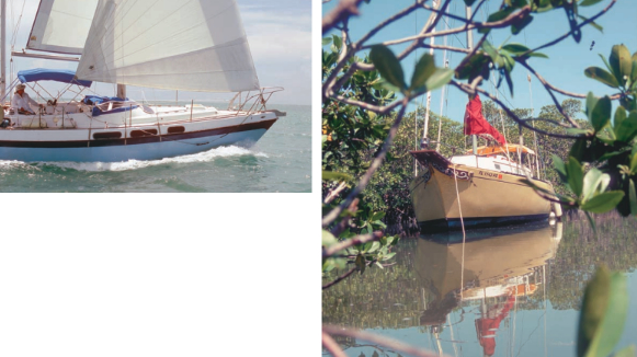 Bill sails Defiant, at left above, close to Angel to get a better look at the singlehanding female in the yellow Bayfield 29. (Well, OK, Bill and Rebecca re-created this shot long after the event really took place, for the sake of illustrating this story. But it’s accurate in every other detail!) Angel is hidden in the mangroves, below, much as she was when threatened by Hurricane Isabel in September 2003.