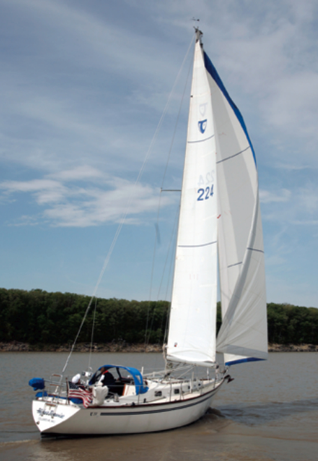 Picture of Higher Porpoise sailing