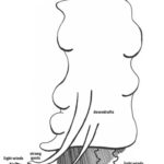 Illustration of a storm cloud