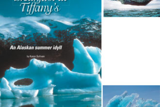 Fantastic ice shapes await our imaginations. On facing page, blue ice sculptures in a floating crystal garden, at right. Drifting past the cove was an occasional seal draped on a bergy bit, like a movie starlet in an icy spa, above.