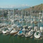 sailboats in a marina