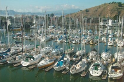 sailboats in a marina
