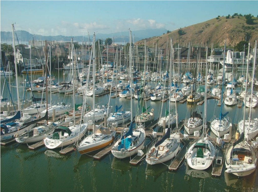 sailboats in a marina
