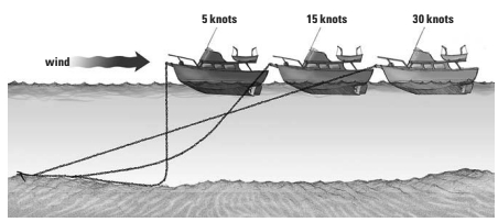 Anchoring diagram