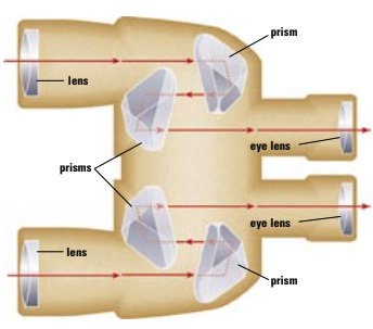 Diagram of how binoculars work