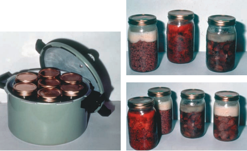 Canning jars ready to process, at right. The finished jars, below. Note that a layer of fat has risen to the top with some meats.