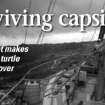 Marvin Creamer’s Globe Star in heavy seas. Globe Star was capsized in mountainous seas between Tasmania and Cape Horn. Her deck-stepped mast withstood the roll.