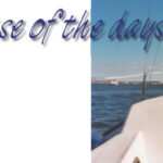 Picture from a daysailor