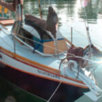 Carrying a dinghy step 1