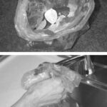 The bait is citrus fruit, top. Once you’ve attracted the fruit flies, bottom, drown them and reset your trap.