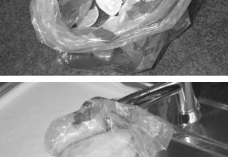 The bait is citrus fruit, top. Once you’ve attracted the fruit flies, bottom, drown them and reset your trap.