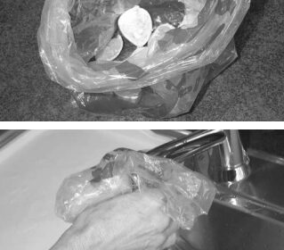 The bait is citrus fruit, top. Once you’ve attracted the fruit flies, bottom, drown them and reset your trap.