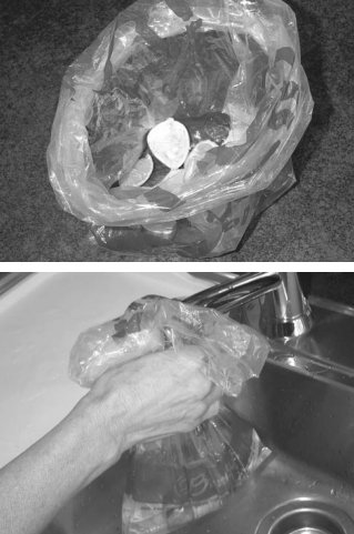 The bait is citrus fruit, top. Once you’ve attracted the fruit flies, bottom, drown them and reset your trap.