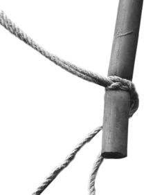 The hackamore knot is one of several substitutes for a hose clamp. Others include the single or double constrictor knot.