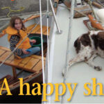 Richard’s granddaughter, Piper, at her happiest, swabbing down the dinghy fore and aft while good old Scout looks for birds.