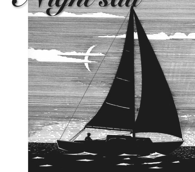 Illustration of a boat sailing at night