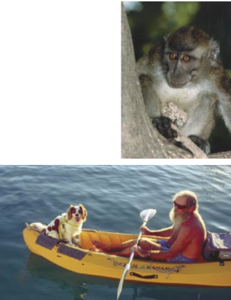 The mischievous Zamboy, above right. His cruising adventure was, thankfully, brief. Mike and Emma of Moonraker paddle ashore, at right. A boat dog provides motivation to explore the shore daily and makes meeting new people easy.