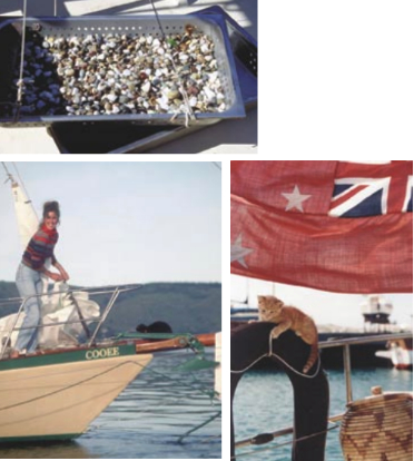 Jill has figured out how to make a cat’s litter tray cheap, clean, and simple with the use of a double tray and smooth pebbles, above left. Reusable litter is a big plus. Myki, at right, became Jill’s ship’s cat for a brief period. He was unhappy and seasick afloat until she found him a better home ashore. When Cooee is at anchor, Fletcher is comfortable all over the boat including on the bowsprit, at left, but when Cooee is sailing, Fletcher doesn’t leave the cockpit.