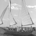 Sail twist is needed because true wind blows faster at the masthead.