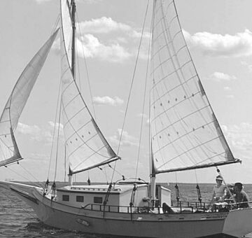 Sail twist is needed because true wind blows faster at the masthead.