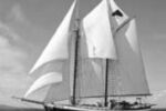 Tree of Life, a 68-foot schooner with an exceptional Comfort Ratio rating.