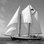 Tree of Life, a 68-foot schooner with an exceptional Comfort Ratio rating.