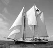 Tree of Life, a 68-foot schooner with an exceptional Comfort Ratio rating.