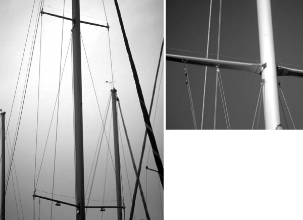 Removing a determined bird from its favorite perch in your rigging is much like “retraining” the squirrels at a bird feeder. Author Will Sturgeon has just begun to fight. Look carefully to see his “bird wires” just above the spreaders.