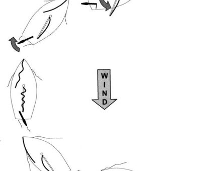 Diagram of heaving to.