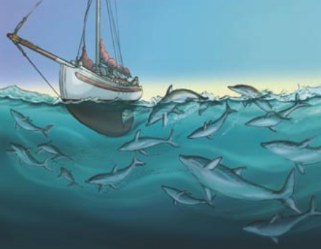 Illustration of a boat at sunrise surrounded by dolphins