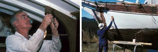Alan Lucas, left, fitting a new knee. Renee had no hanging knees either in the cabin or sidedeck construction. This one was laminated from strips of oak. At right, as soon as a section was splined and faired, it was painted to keep the hull as cool as possible against any threat of splitting. Splines can be seen above the belting and below the waterline, the latter extending aft only a few feet. The remainder of the underwater body retained its original caulking.