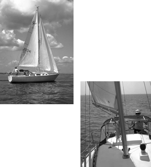Skipper Warren Hayes once again checks Serena’s sail trim, at left. Author Mary Jane at the helm, below.
