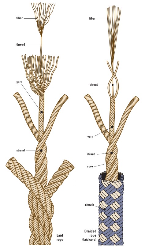 illustration of ropes