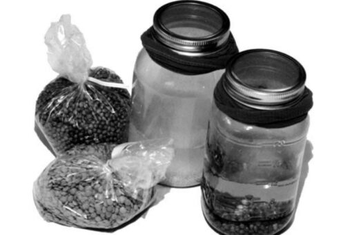 bags and jars of lentils