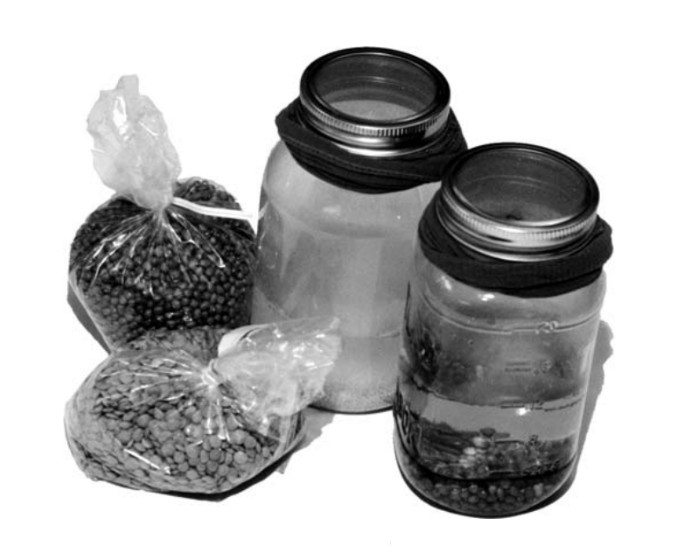 bags and jars of lentils