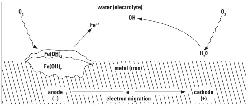 water (electrolyte) illustration