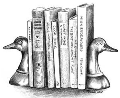 Picture of books