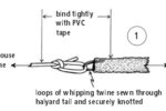 Mouse line diagram 1