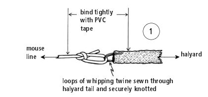 Mouse line diagram 1