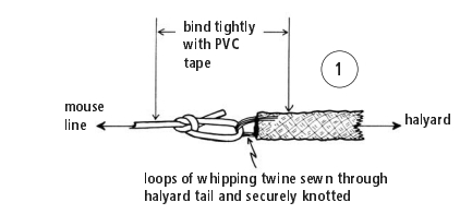 Mouse line diagram 1